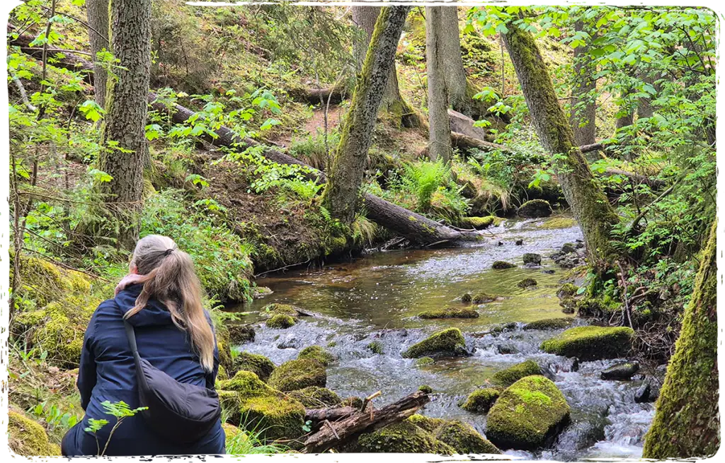 Wald und Natur im Wienerwald für den Einklang Workshop für Körper und Seele