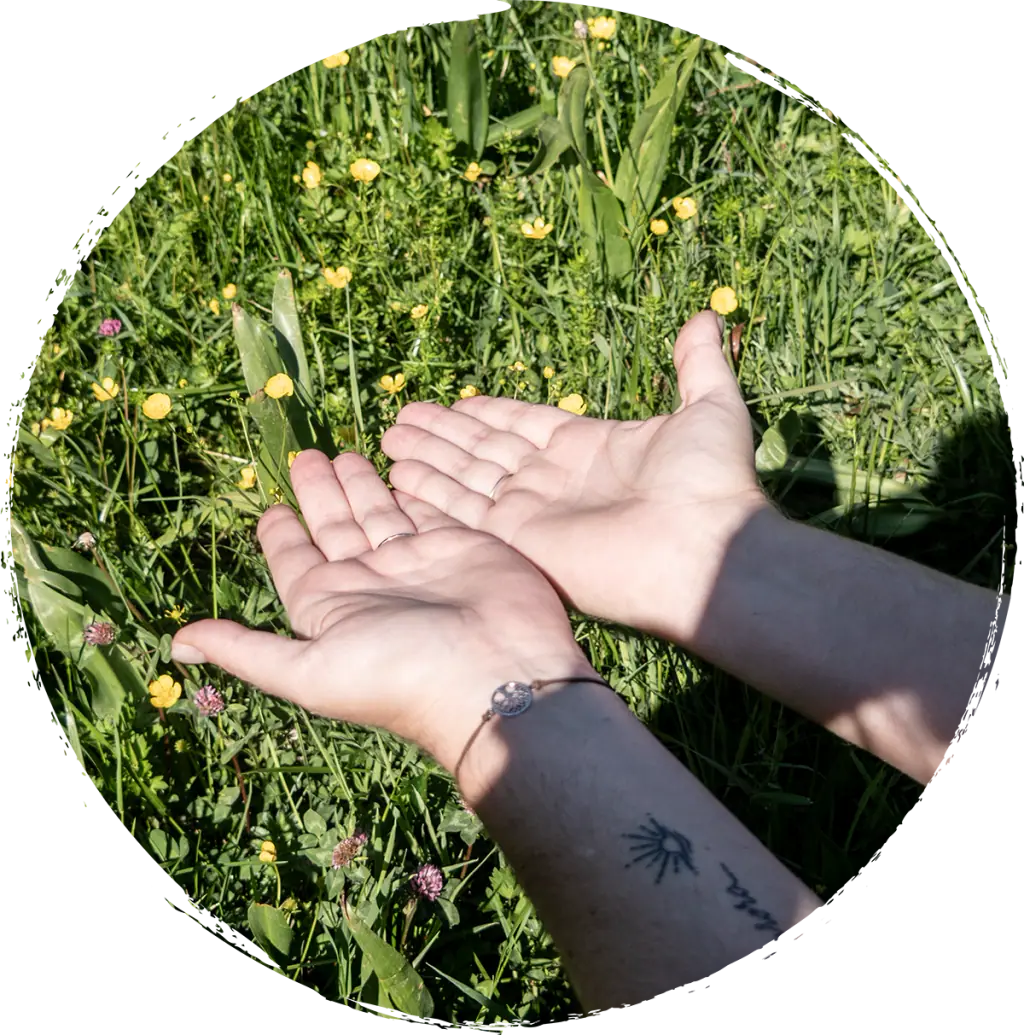 Geöffnete Hände in einer Blumenwiese für eine Reiki-Anwendung